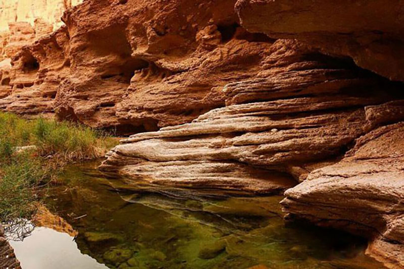 زیبایی در طبیعتگردی طبس