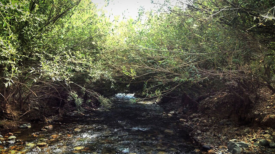 سیبان دره