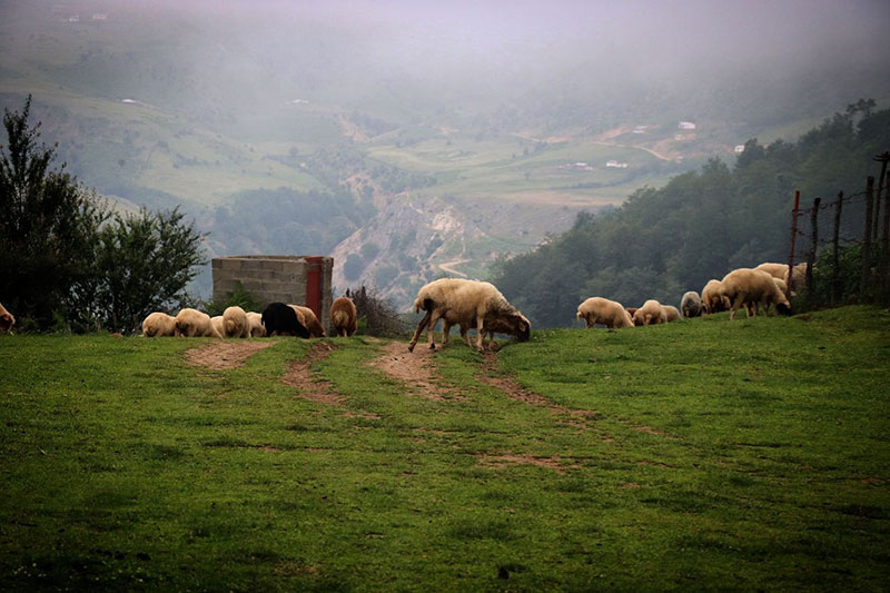 نمایی زیبا از سفر اسالم به خلخال