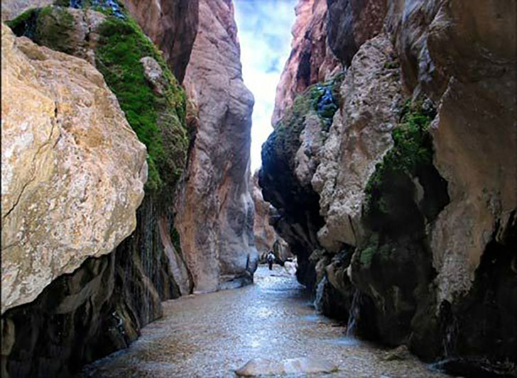 منظره زیبا در طبیعتگردی طبس