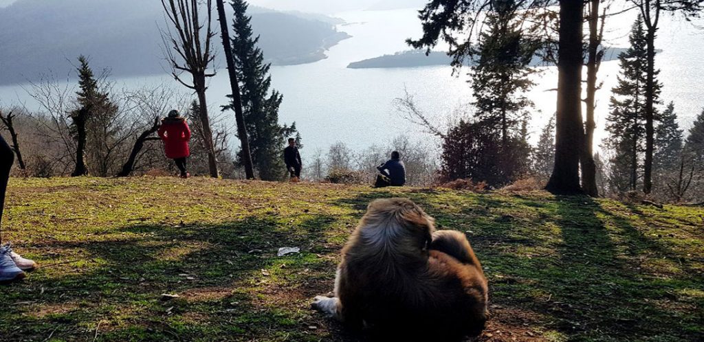طبیعت آبشار آنجیلی‌کا