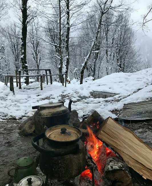 عکس شماره 17 و برف