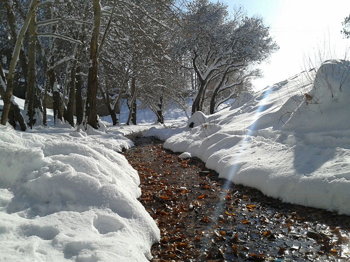 عکس شماره 7 و برف