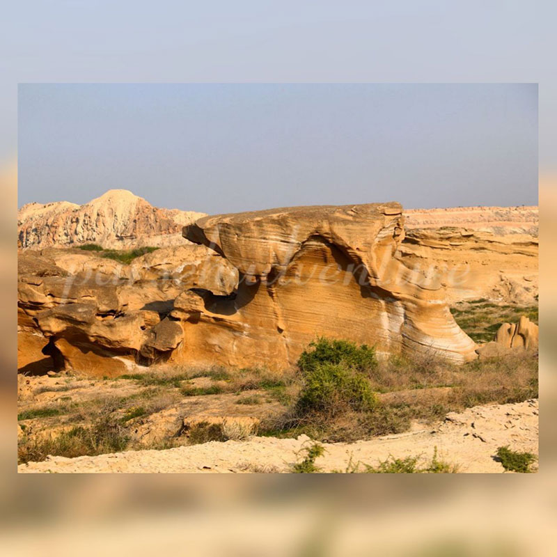 طبیعت در بندر تاریخی سیراف