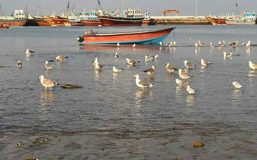 زیبایی در جزیره قشم