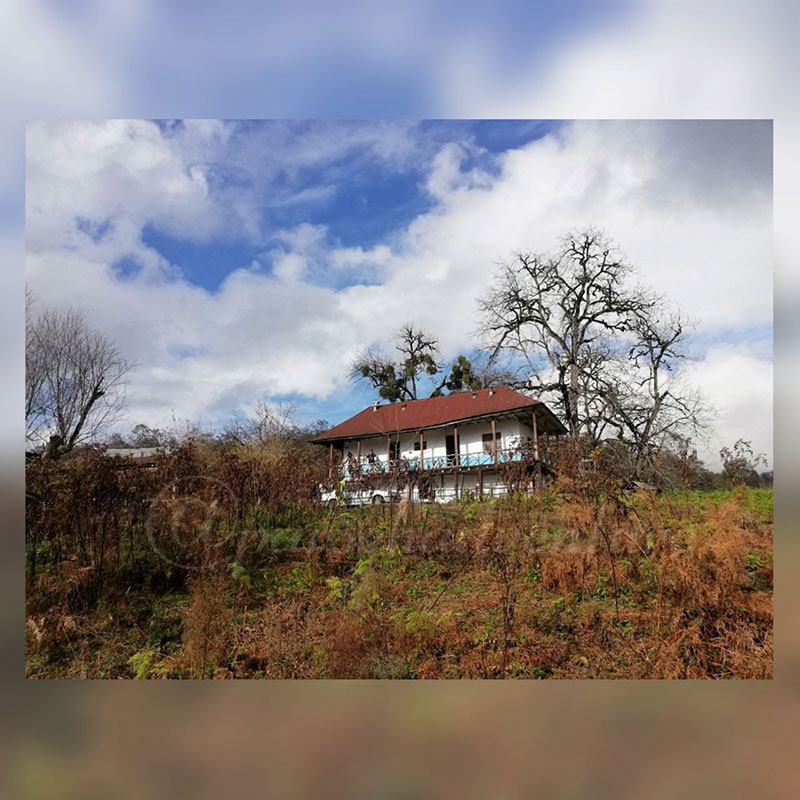 آسمان زیبا در جنگل بزچفت