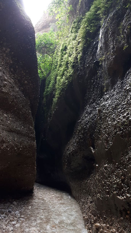 مسیر زیبایی در دزفول