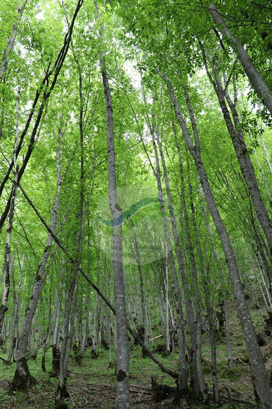 تجربه سفر به کلیبر و قلعه بابک
